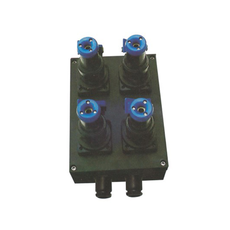 BXX-S系列防爆防腐电源插座箱